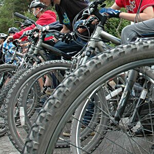 Bike wheels lined up